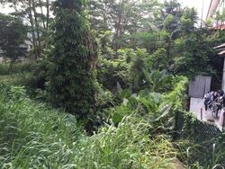 Mcmahon Park (D10), Detached #278592611